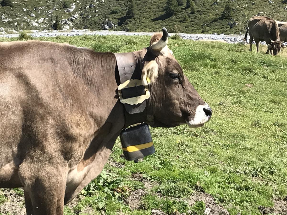 Ferienwohnung Laax Mit Traumblick, Grossem Balkon Und Terrasse Екстериор снимка